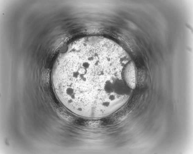 X0000093410495200711020958