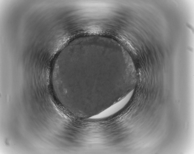 X0000093410496200711020958