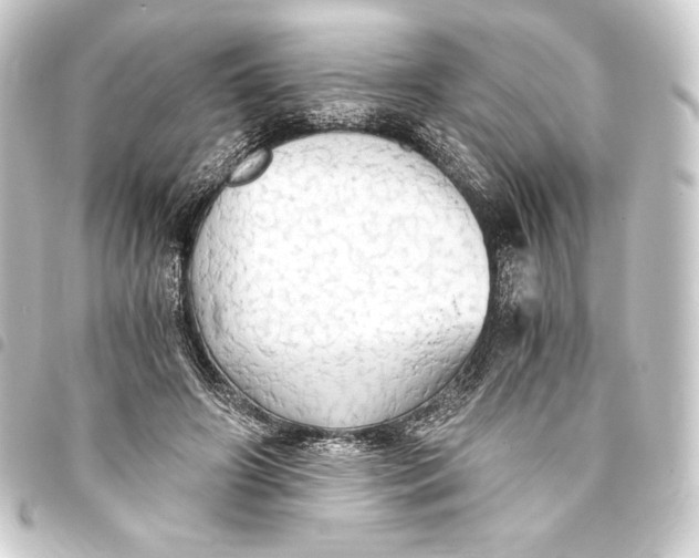 X0000093410498200711020958