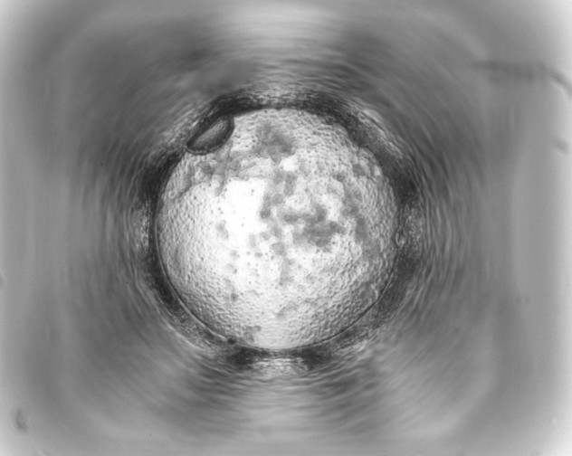 X0000093410499200711020958