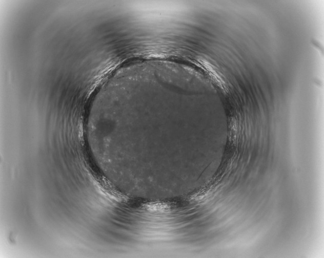 X0000093410500200711020958