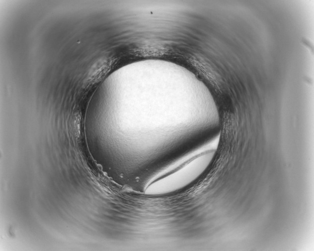 X0000093410501200711020958