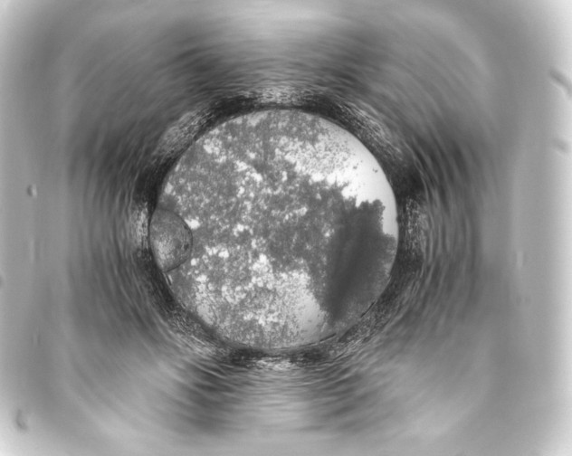 X0000093410502200711020958