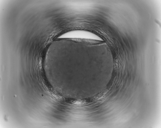 X0000093410504200711020958