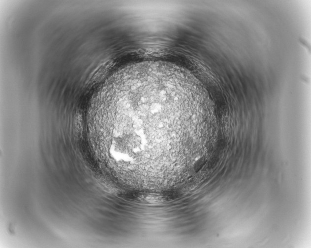 X0000093410506200711020958