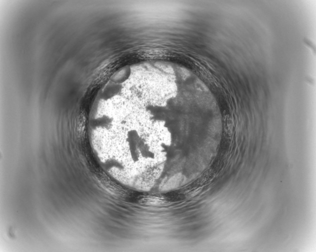 X0000093410507200711020958