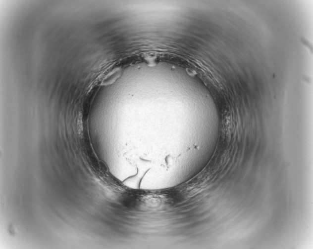 X0000093410508200711020958