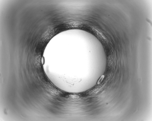 X0000093410509200711020958