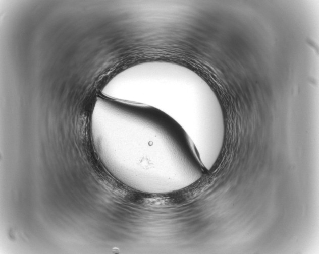 X0000093410511200711020958