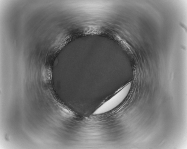 X0000093410517200711020958