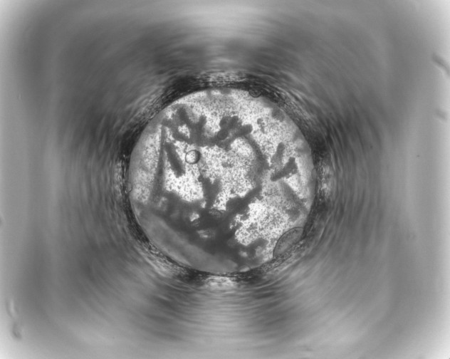 X0000093410519200711020958