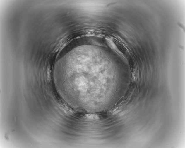 X0000093410520200711020958