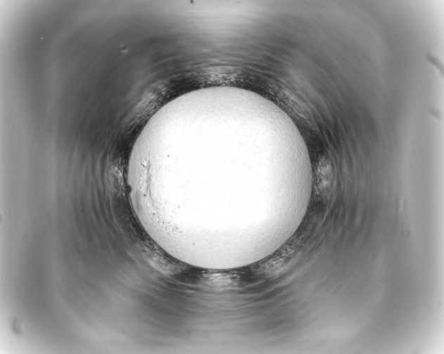 X0000093410522200711020958