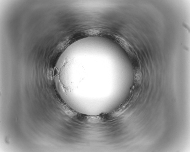 X0000093410525200711020958