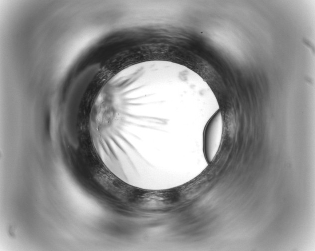 X0000093410526200711020958