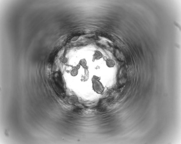 X0000093410527200711020958