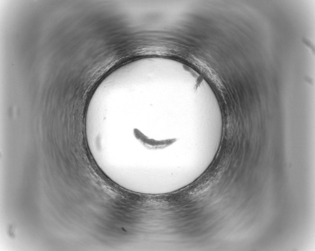 X0000093410529200711020957