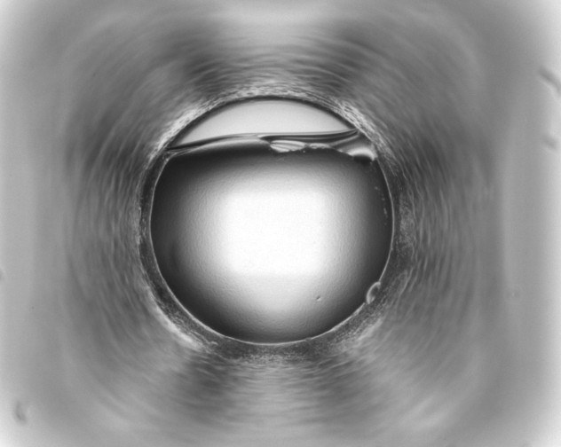 X0000093410530200711020957