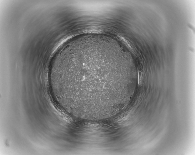 X0000093410531200711020957