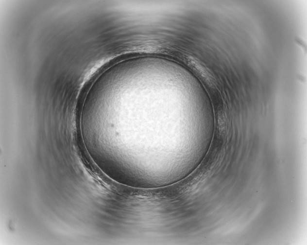 X0000093410532200711020957