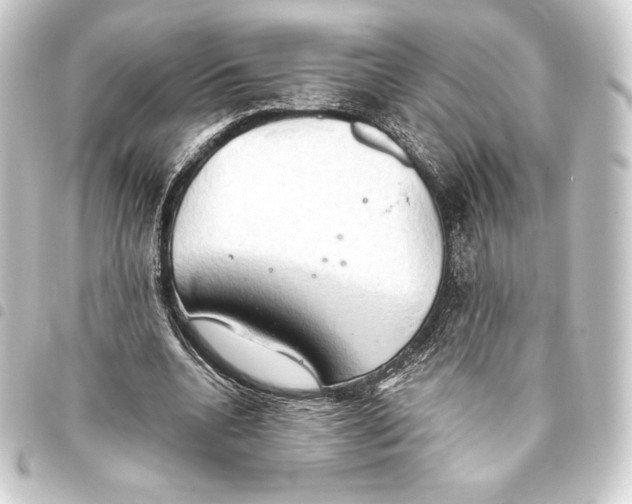 X0000093410536200711020957