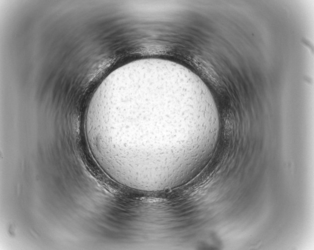 X0000093410539200711020957