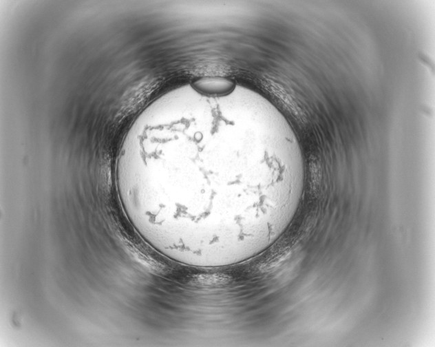 X0000093410541200711020957