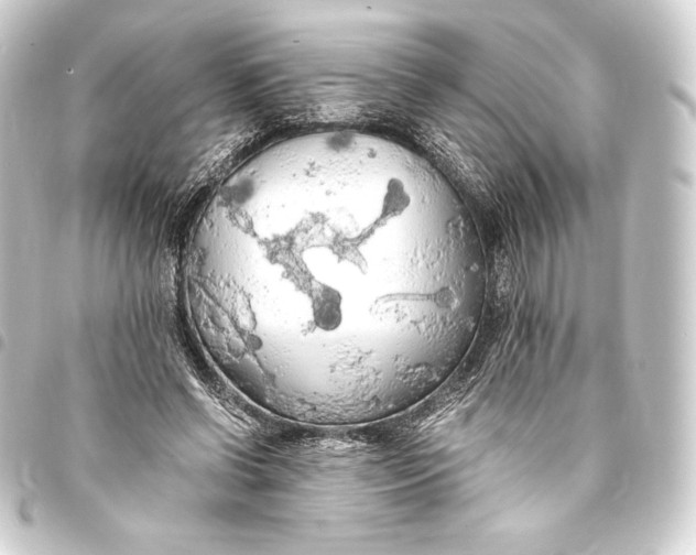 X0000093410542200711020957