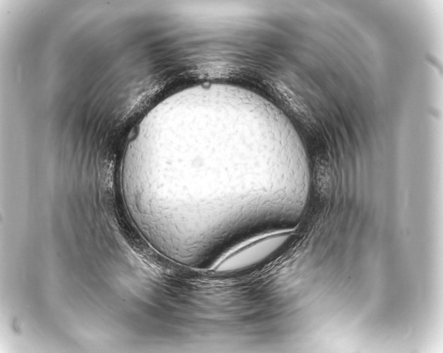 X0000093410543200711020957