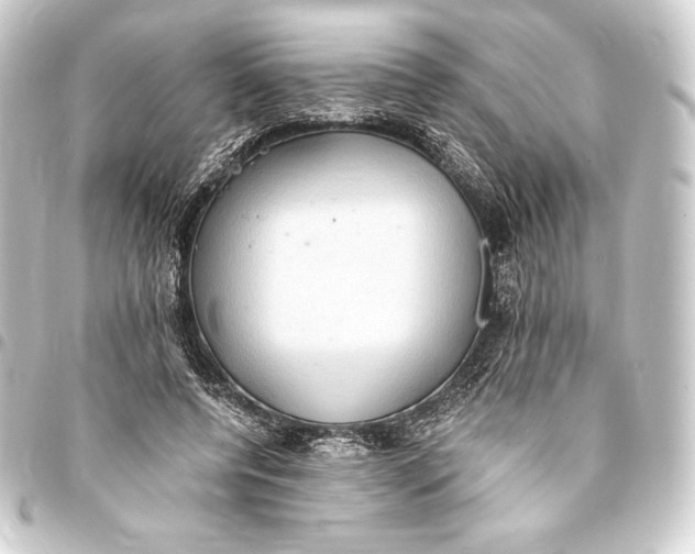 X0000093410544200711020957