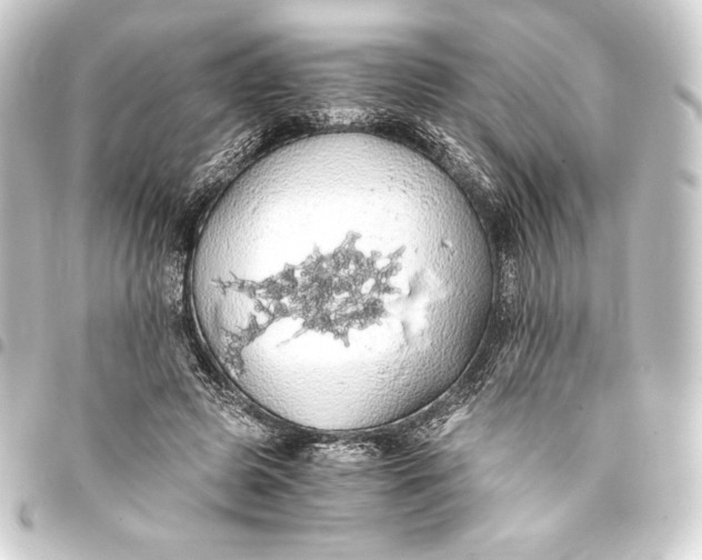 X0000093410545200711020957