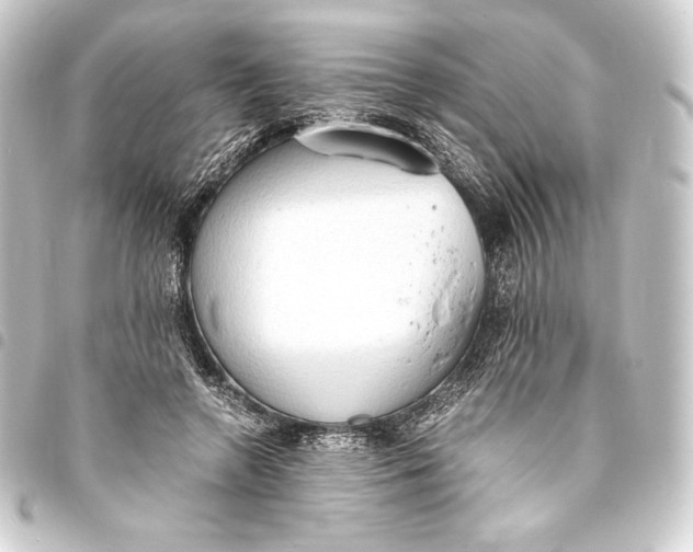 X0000093410546200711020957