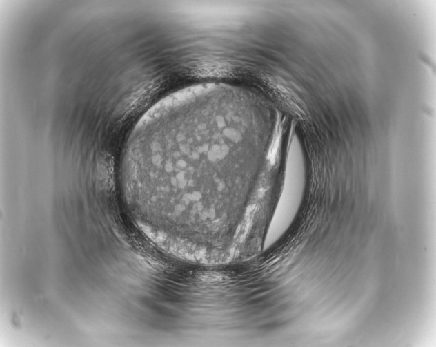 X0000093410547200711020957