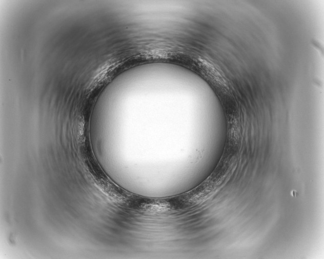 X0000093410548200711020957