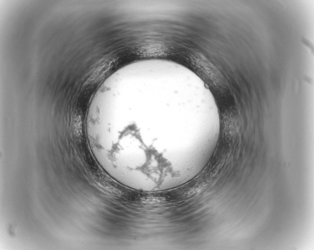 X0000093410549200711020957