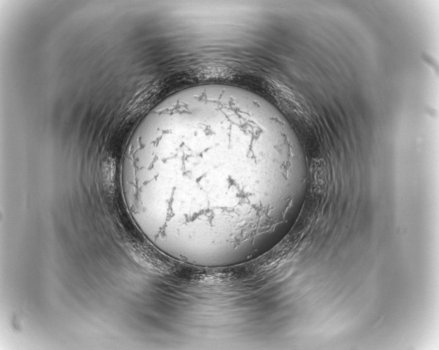 X0000093410550200711020957