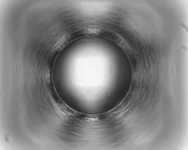 X0000093410552200711020957