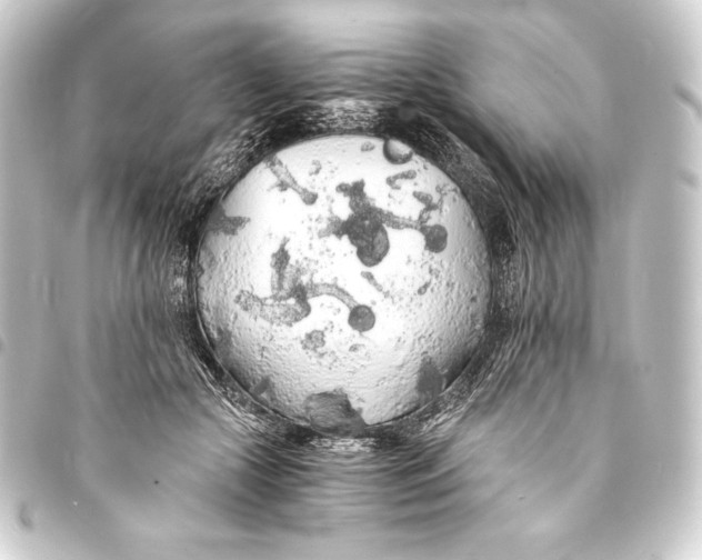 X0000093410553200711020957