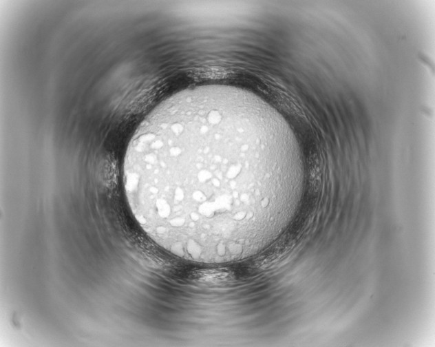 X0000093410555200711020957