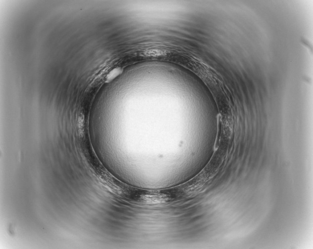 X0000093410556200711020957