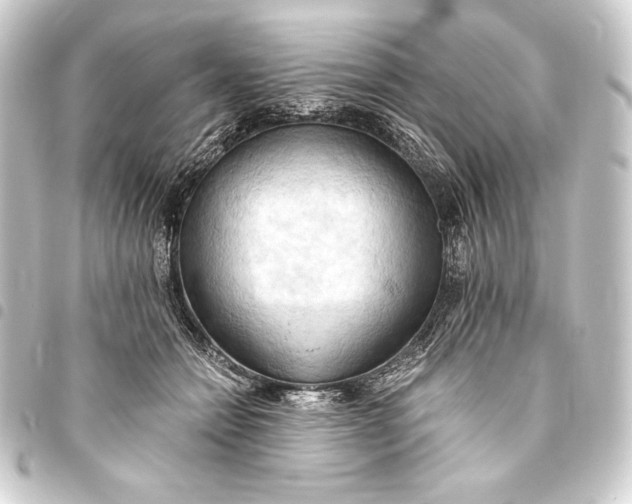 X0000093410558200711020957