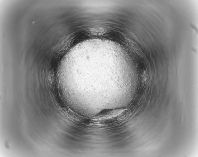 X0000093410559200711020957