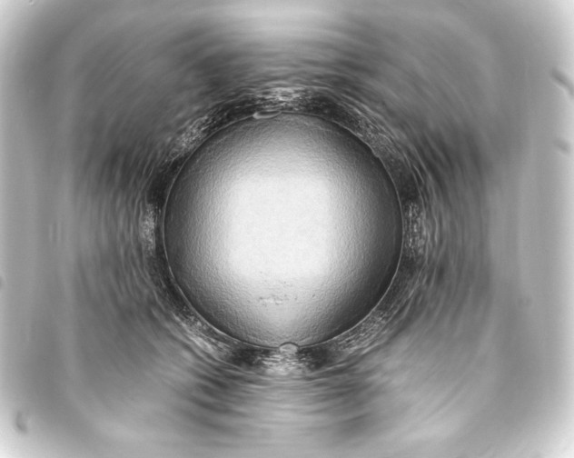 X0000093410562200711020957