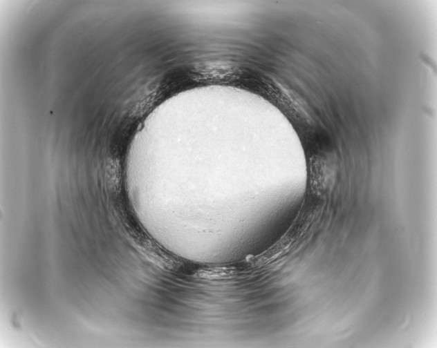 X0000093410563200711020957