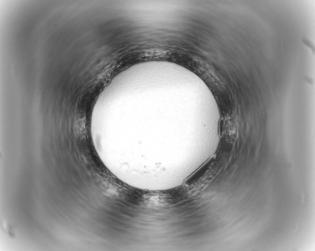 X0000093410564200711020957