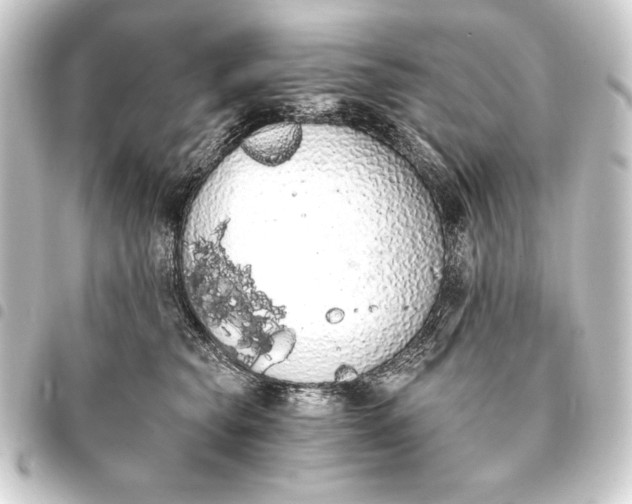 X0000093410565200711020957