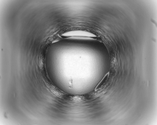 X0000093410566200711020957