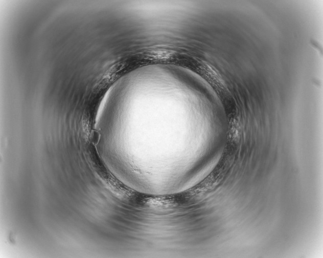 X0000093410568200711020957