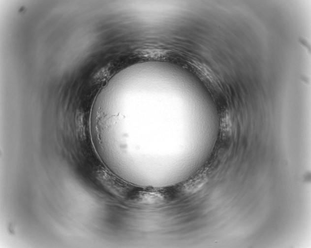 X0000093410572200711020957