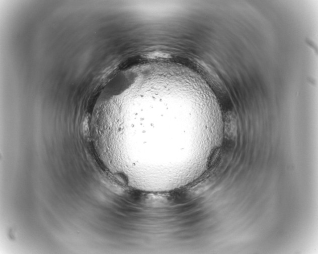 X0000093410573200711020957